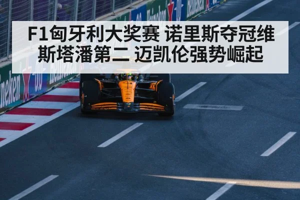 Lando Norris McLaren - nine game