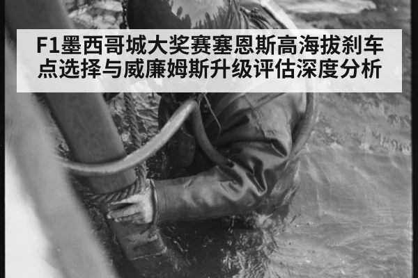 F1墨西哥城大奖赛塞恩斯高海拔刹车点选择与威廉姆斯升级评估深度分析